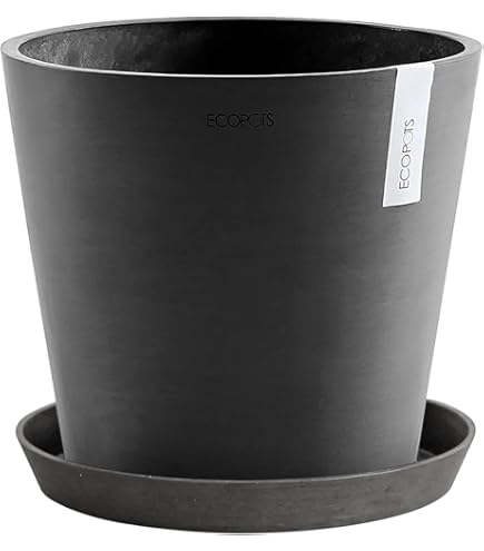 Amazon | グリーンポット プランター モードライト キューブ EB